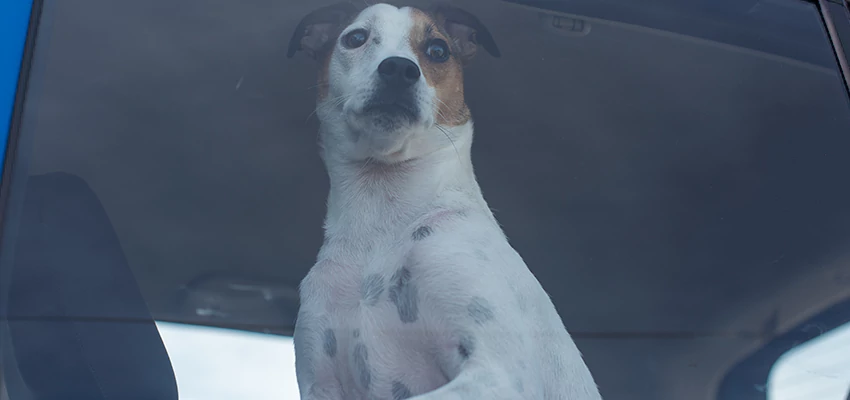 Car Lockout Solutions in Parlier, California